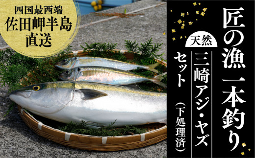 1本釣り 匠の漁 天然アジ ヤズ ブリの若魚 一本釣りセット アジ2尾 ヤズ1本相当2kg 愛媛県伊方町 ふるさと納税 ふるさとチョイス