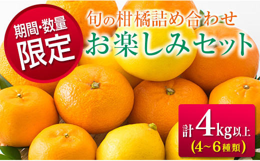 B43 191 フルーツ 期間 数量限定 旬の柑橘詰め合わせお楽しみセット 計4kg以上 宮崎県日南市 ふるさと納税 ふるさとチョイス