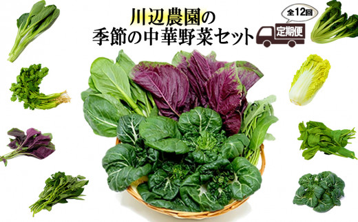 【定期便】川辺農園の季節の中華野菜セット 12ヶ月 - 福岡県小郡市 