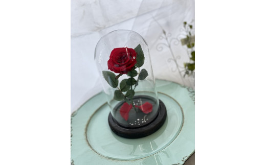 純正店舗 Ag30 一輪ガラスドームbox入りプリザーブドフラワー 販売直送 Puskeu Polri Go Id