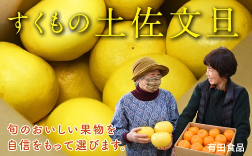 有田食品の土佐文旦10kg家庭用 - 高知県宿毛市｜ふるさとチョイス