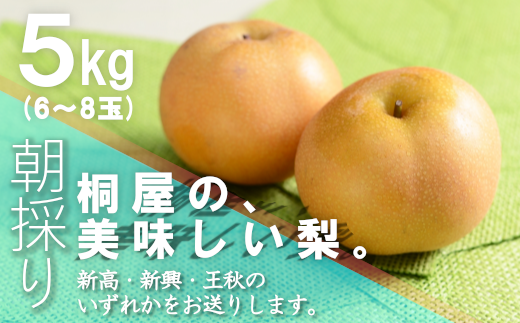 白岡 安藤梨園の朝もぎ梨 幸水5kg 0053 埼玉県白岡市 ふるさと納税 ふるさとチョイス