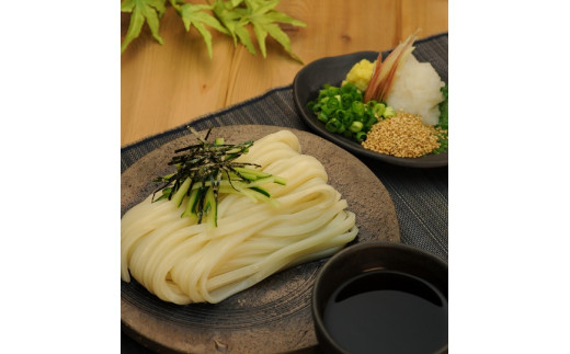 これぞ真髄!本場さぬきうどんめん一の打ちたて純生うどんセット
