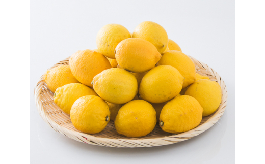 大三島産柑橘精油季節のおすすめ３本セット（シトラス＆アロマ島香房 