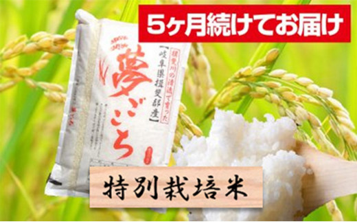 夢ごこち 米の人気商品 通販 価格比較 価格 Com