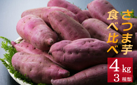 金時 紅 イモ類の人気商品 通販 価格比較 価格 Com