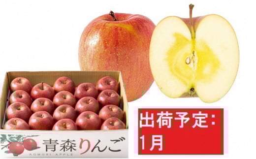yXz1 󂠂  ƒpTӂ 5kg yX񂲁E}REAbvz