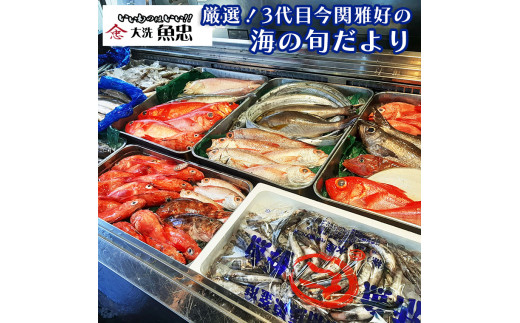 鮮魚店「魚忠」 厳選鮮魚セット 大洗 厳選 旬 魚 さかな - 茨城県大洗町｜ふるさとチョイス - ふるさと納税サイト