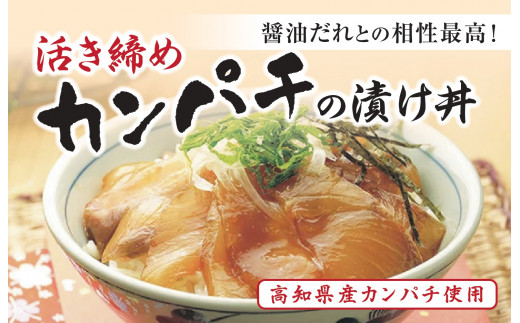 活き締めカンパチの醤油漬け丼セット Mm003 高知県須崎市 ふるさと納税 ふるさとチョイス 活き締めカンパチの醤油漬け丼セット Mm003 高知県須崎市 ふるさと納税 ふるさとチョイス