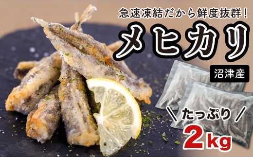 沼津産 メヒカリiqf Mサイズ １ｋｇ ２ 静岡県沼津市 ふるさと納税 ふるさとチョイス