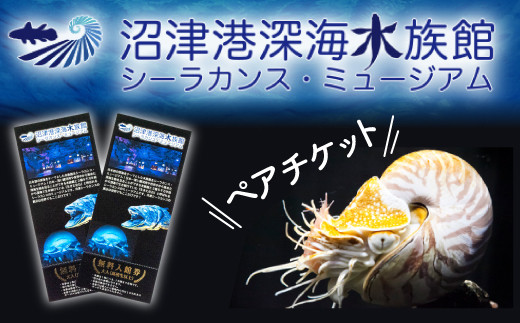 沼津港深海水族館 ペア チケット 大人2名 水族館 沼津港 シーラカンス