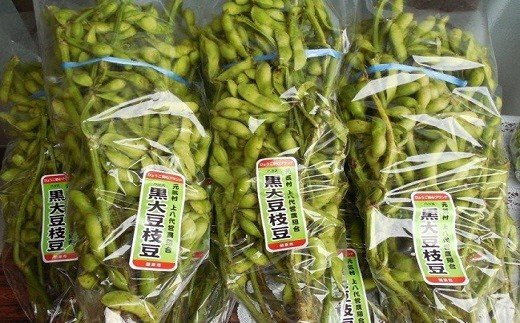 朝来産の丹波黒枝豆(枝付き2kg)【10月中旬から順次発送】 - 兵庫県