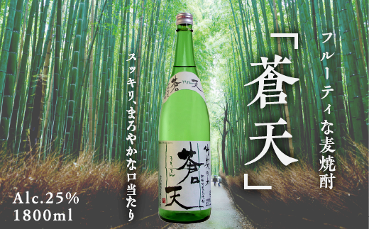 数量限定】『佐嘉』SAGA-17年-：C102-007 / 佐賀県佐賀市