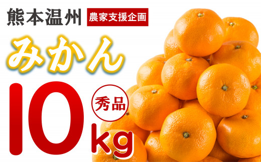 みかん 季節のﾌﾙｰﾂ 温州みかん 和水町産10kg - 熊本県和水町｜ふるさと