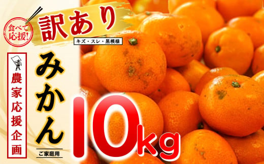 【訳あり】期間限定 温州みかん 和水町産 ご家庭用 10kg