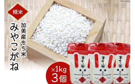 農家直送！！令和6年度　玄米　10kg みやこがねもち 農家直送！！令和6年度 玄米 10kg みやこがねもち