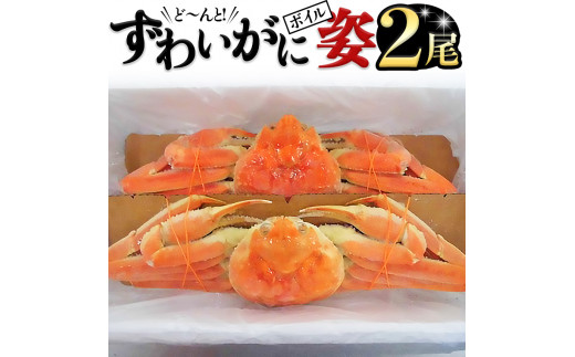 ふるさと納税 茨城県 大洗町 ボイルずわい蟹 姿 800g×2尾 カニ かに 蟹