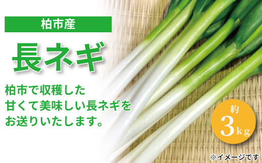 長ネギ ねぎの人気商品 通販 価格比較 価格 Com