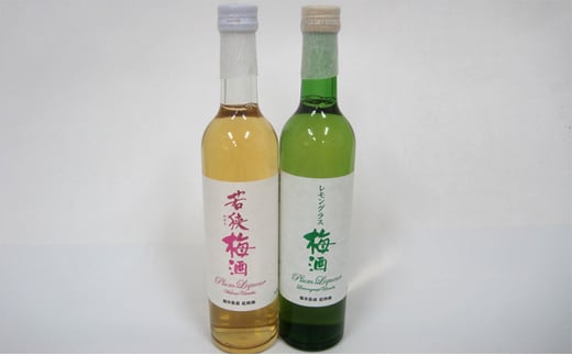 y䌧ዷzዷ~22{ݔ׃Zbgiϔj500ml [5580-0384]