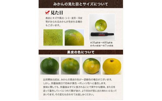 ご家庭用訳あり 熊本県産 荒尾市産含む ひとくちもぎたてみかん 約7kg 3 5kg 2箱 S 3sサイズ 3 7営業日以内に順次出荷 土日祝除く 先行予約 熊本県産 ちょっと訳あり 期間限定 フルーツ 秋 旬 柑橘 小玉 みかん 荒尾市 熊本県荒尾市 ふるさと納税