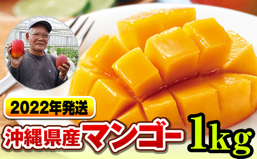 沖縄県産 摘果マンゴー 青マンゴー グリーンマンゴー 9.5キロ fkip
