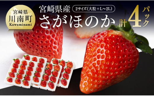 令和6年発送 】 宮崎県産 いちご 「 ゆめのか 」 270ｇ×4パック