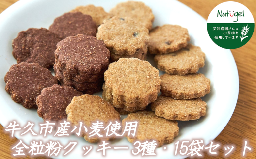 牛久市産 小麦 全粒粉 の クッキー 15袋セット メープル ココア チョコチップ 甘い おいしい 美味しい スイーツ おうちカフェ お菓子 おやつ  お取り寄せ 詰め合わせ セット お土産 プチギフト 贈り物 お祝い ギフト 国産 茨城