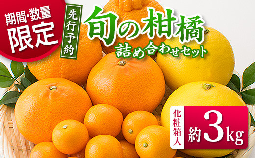 47 フルーツ 先行予約 旬の柑橘詰め合わせセット 約3kg 化粧箱入 宮崎県日南市 ふるさと納税 ふるさとチョイス