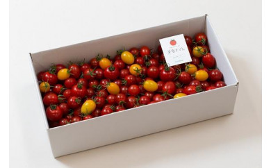 【茨城県水戸市】ドロップファームの美容トマト3kg箱（12月〜6月末）
