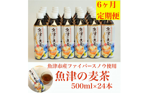 5617 0093 6ヶ月定期便 魚津の麦茶500ml 24本 魚津産六条大麦と北アルプスの水で作りました 富山県魚津市 ふるさと納税 ふるさとチョイス