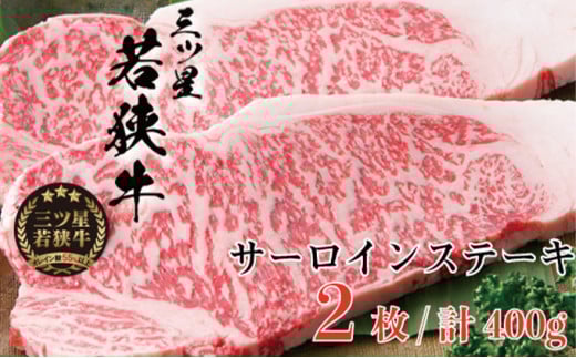 y䌧ዷzOcዷ T[CXe[L2mIin [5580-0258]