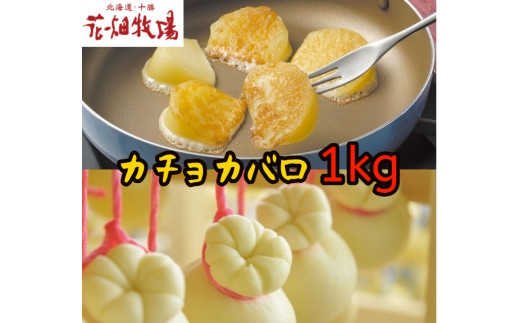 サンプル写真