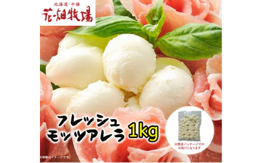 サンプル写真