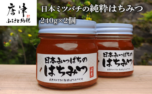 日本ミツバチの巣蜜 240g - その他