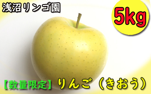 Bf 009 雫石町産 リンゴ きおう 5kg 数量限定 岩手県雫石町 ふるさと納税 ふるさとチョイス