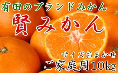 賢みかん - みかんの人気商品・通販・価格比較 - 価格.com