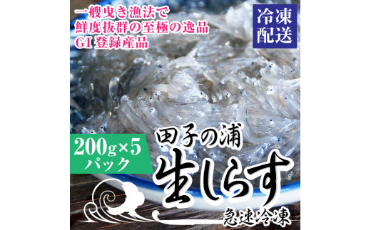 【静岡県富士市】1554一艘曳き漁法「田子の浦」漁港直送生しらす獲れたて急速冷凍200ｇ×5個セット