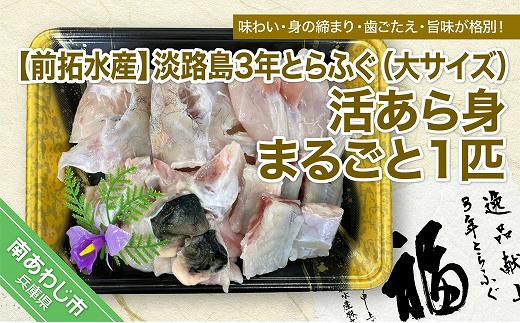 前拓水産】淡路島3年とらふぐ（大サイズ）活あら身まるごと1匹◇配送10