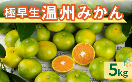 南紀みかん極早生5キロ 果物 フルーツ みかん 南紀みかん 温州みかん 極早生みかん 極早生 5kg