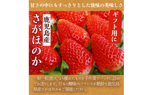 Akune 18 7 先行予約受付中 22年1月 3月中に順次発送予定 鹿児島県産いちご さがほのか 秀大 計約1 4kg 40粒 2箱 鹿児島いずみ農業協同組合 18 7 鹿児島県阿久根市 ふるさと納税 ふるさとチョイス