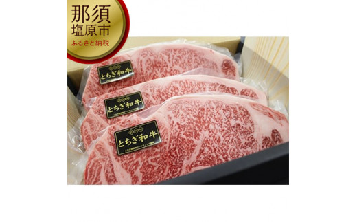 那須野ヶ原牛 ステーキとしゃぶしゃぶの堪能セット【 牛肉 栃木県 那須