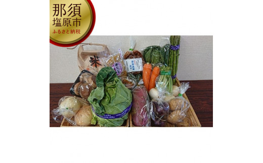 【栃木県那須塩原市】米と野菜と加工品の詰め合わせセット
