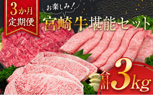 3か月 お楽しみ 定期便 宮崎牛 堪能 セット 合計3kg 肉 牛 牛肉 黒毛和牛 ロース 肩ロース モモ ステーキ しゃぶしゃぶ 国産 おかず 食品  焼肉 送料無料_KF1-23 - 宮崎県日南市｜ふるさとチョイス - ふるさと納税サイト