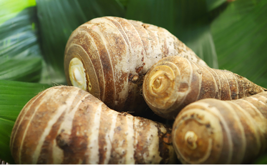 5326 0056 京都えびいも2kg 京都府京田辺市 ふるさと納税 ふるさとチョイス