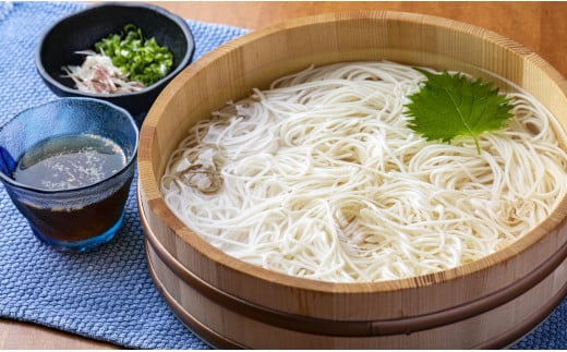 112.ひやむぎ そうめん堪能セット 10袋（30食分）乾麺 冷麦 冷や麦