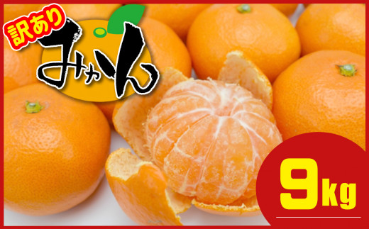 みかん　九州産 果物 20kg 訳ありコスパ最高 ≪ 訳あり ≫ 熊本県産 温州みかん 約 9kg + 約 0.5kg (補償分