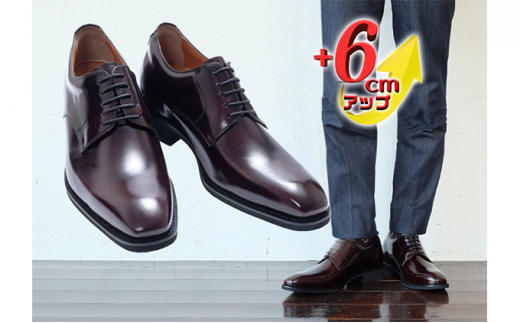 yޗǌaSRszrWlXV[Y {v vC amC OHv[ 6cmAbv V[NbgV[Y No.1931 C 25.0cm [5990-7756]0292