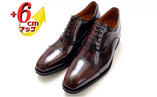 yޗǌaSRsz{v rWlXV[Y vC amC 6cmAbv V[NbgV[Y@No.1301@C 23.5cm [5990-7648]0277