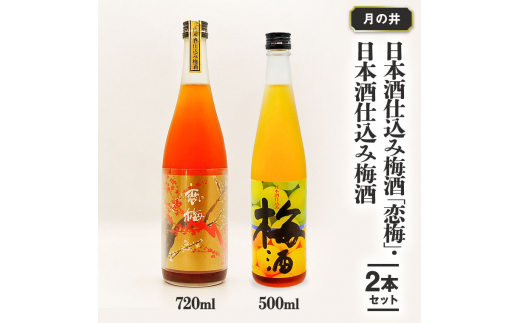 【茨城県大洗町】日本酒 仕込み 梅酒 恋梅720ml 梅酒 500ml 2本 セット 月の井 大洗 地酒 国産梅 飲み比べ 茨城