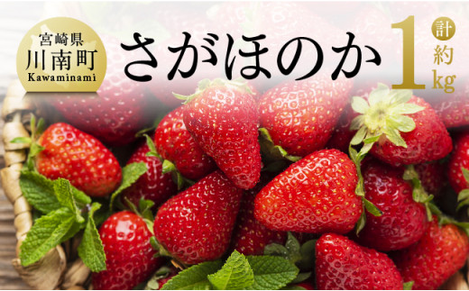 【 令和6年発送 】 宮崎県産 いちご 「 さがほのか 」 270ｇ×4パック 【 先行予約 期間限定 果物 イチゴ 苺 フルーツ 】